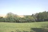 Vue magnifique de notre jardin sur les bois et champs environnants
